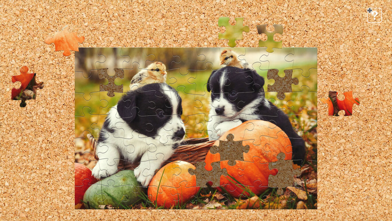 かわいい犬 My Nintendo Store マイニンテンドーストア