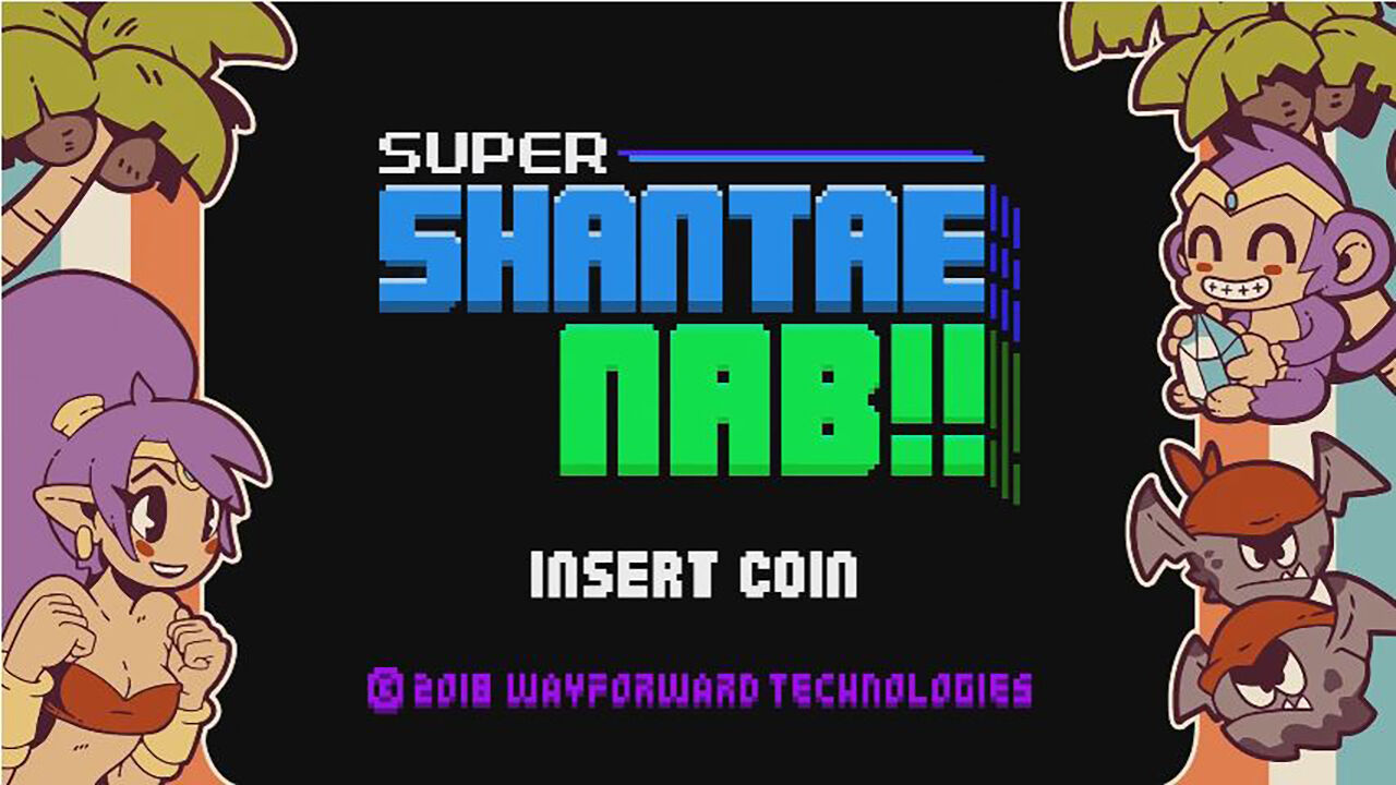 高速配送 Shantae Switch Nintendo シャンティ 家庭用ゲームソフト Www Efirst Ae