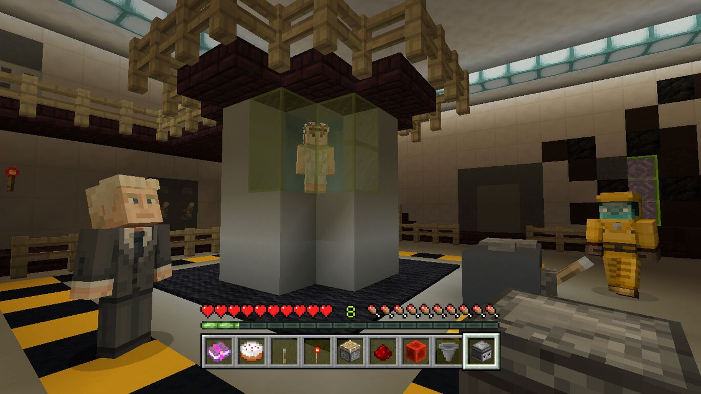 ストレンジャー シングス 未知の世界スキン パック My Nintendo Store マイニンテンドーストア