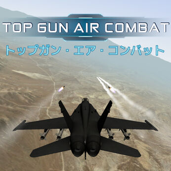 Top Gun Air Combat