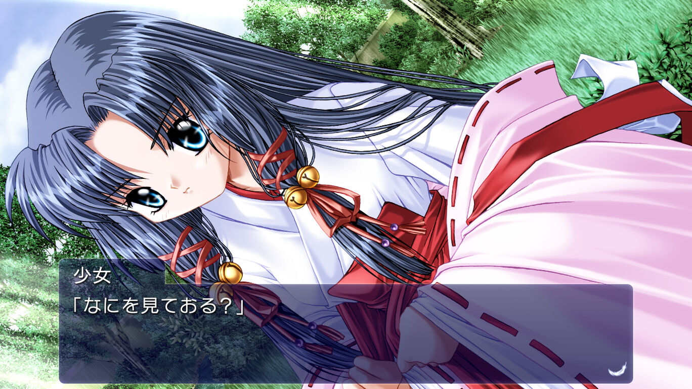 Air ダウンロード版 My Nintendo Store マイニンテンドーストア