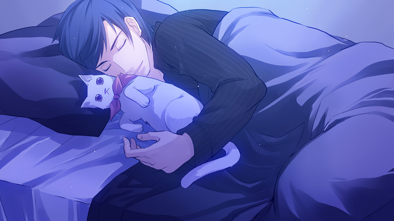 にゃんらぶ ～私の恋の見つけ方～