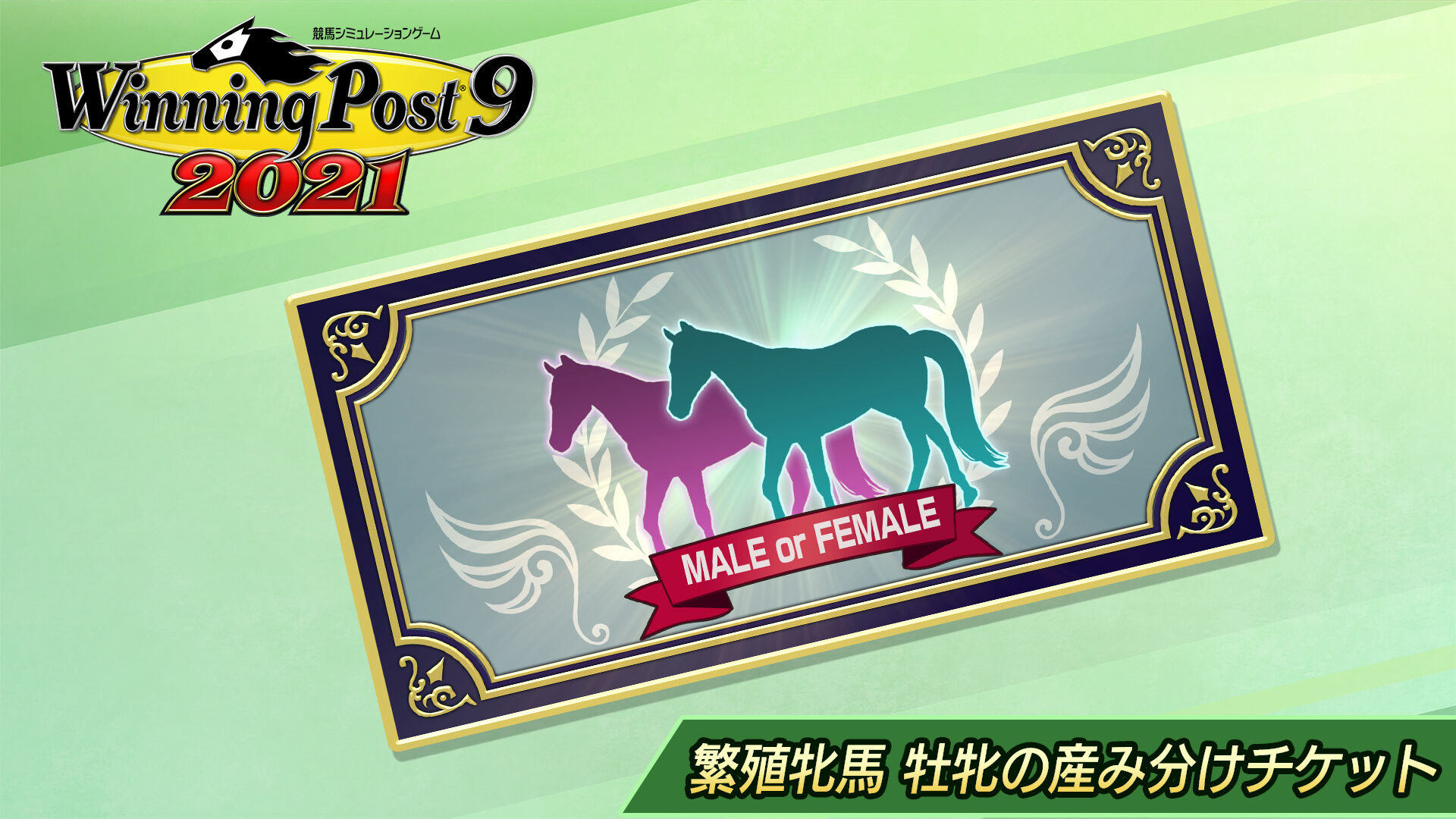 繁殖牝馬 牡牝の産み分けチケット | My Nintendo Store（マイ