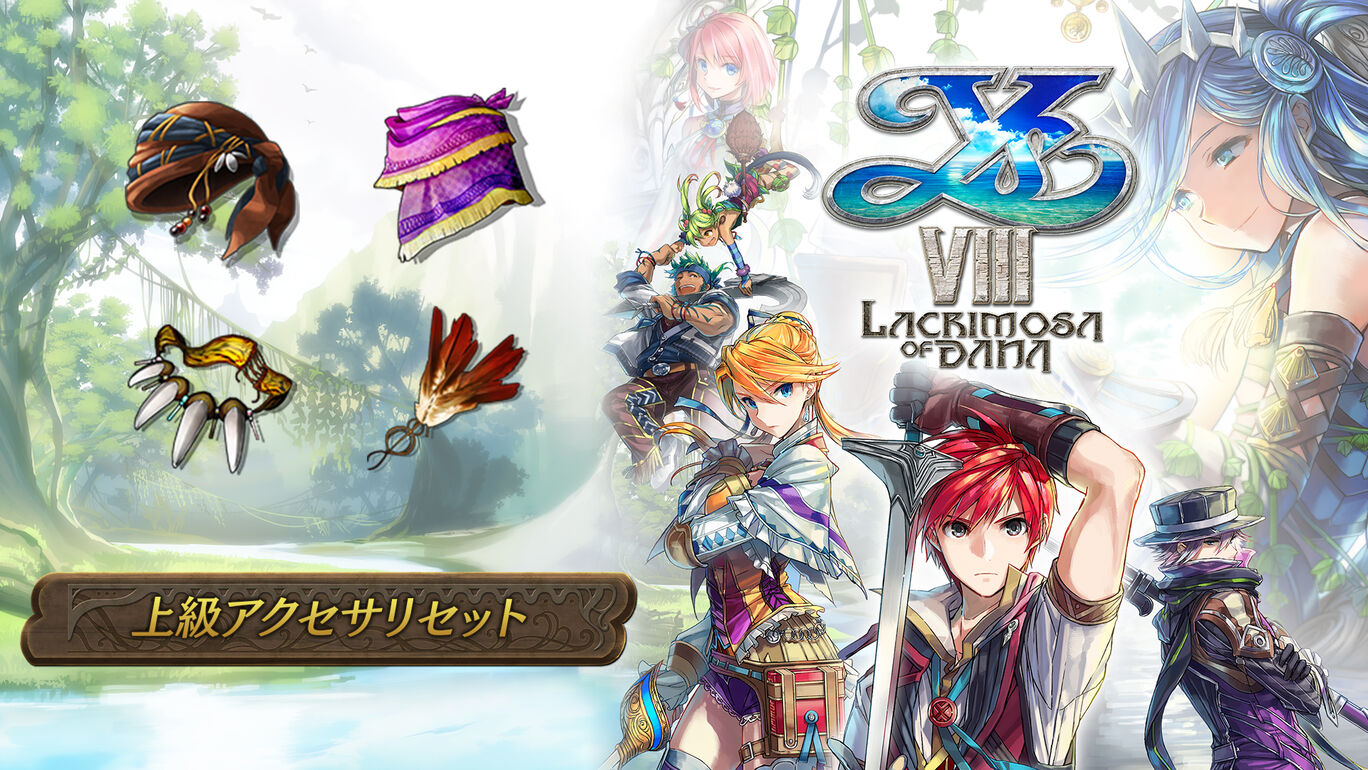 上級アクセサリセット My Nintendo Store マイニンテンドーストア