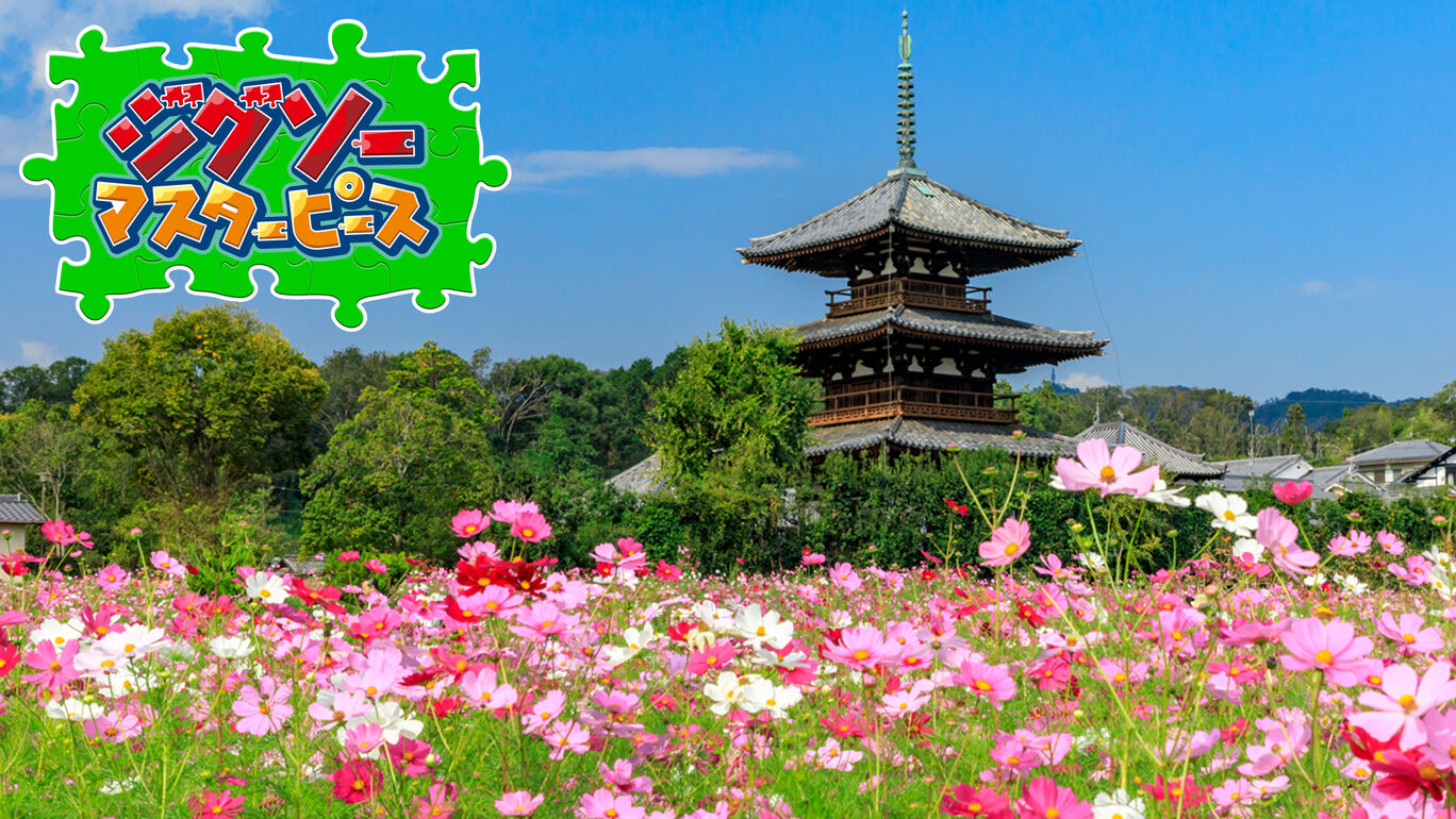 花畑 My Nintendo Store マイニンテンドーストア