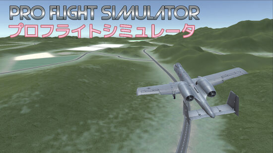 Pro Flight Simulator (プロフライトシミュレータ)