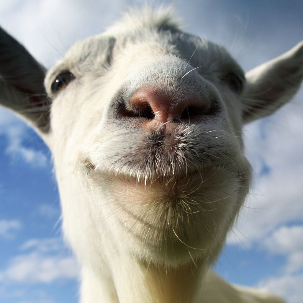 Goat Simulator: The GOATY（ゴートシミュレーター）