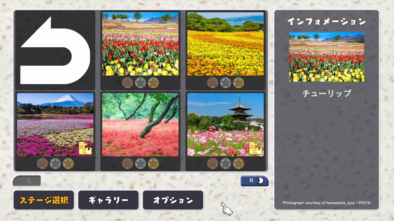 花畑 My Nintendo Store マイニンテンドーストア