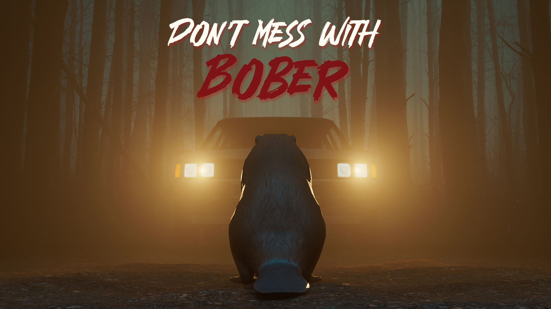 Don't Mess With Bober