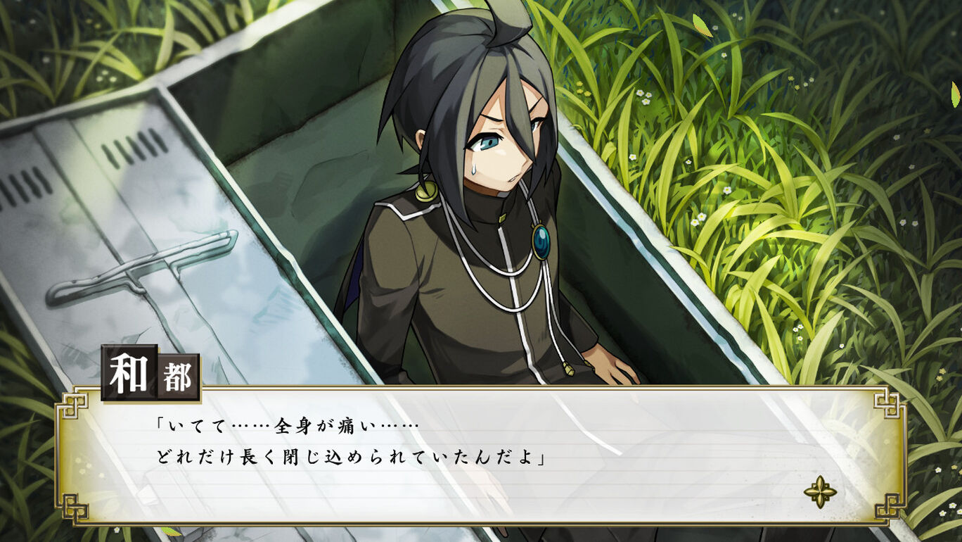 探偵撲滅 ダウンロード版 My Nintendo Store マイニンテンドーストア