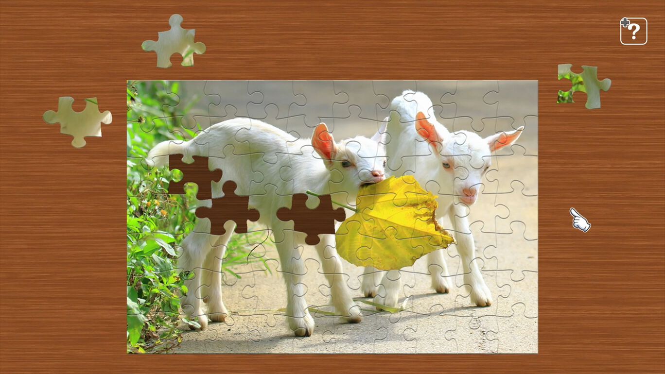 どうぶつの赤ちゃん My Nintendo Store マイニンテンドーストア