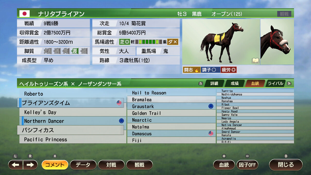 ナリタブライアン 有馬記念 単勝 馬券 JRA 競馬 的中馬券（期限切れ