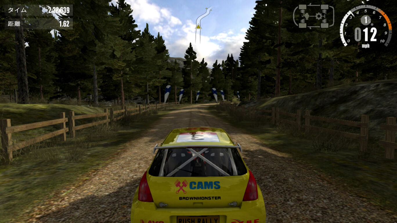 Rush Rally 3