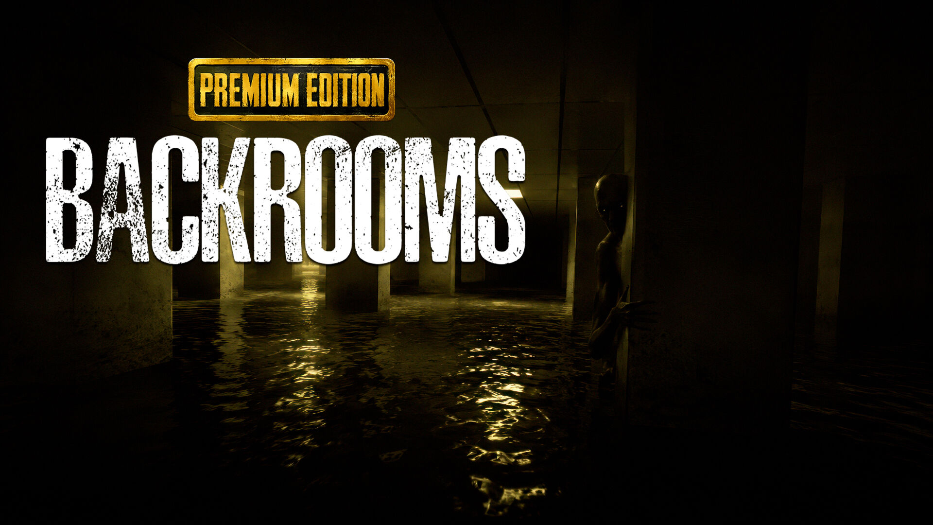 BACKROOMS PREMIUM EDITION