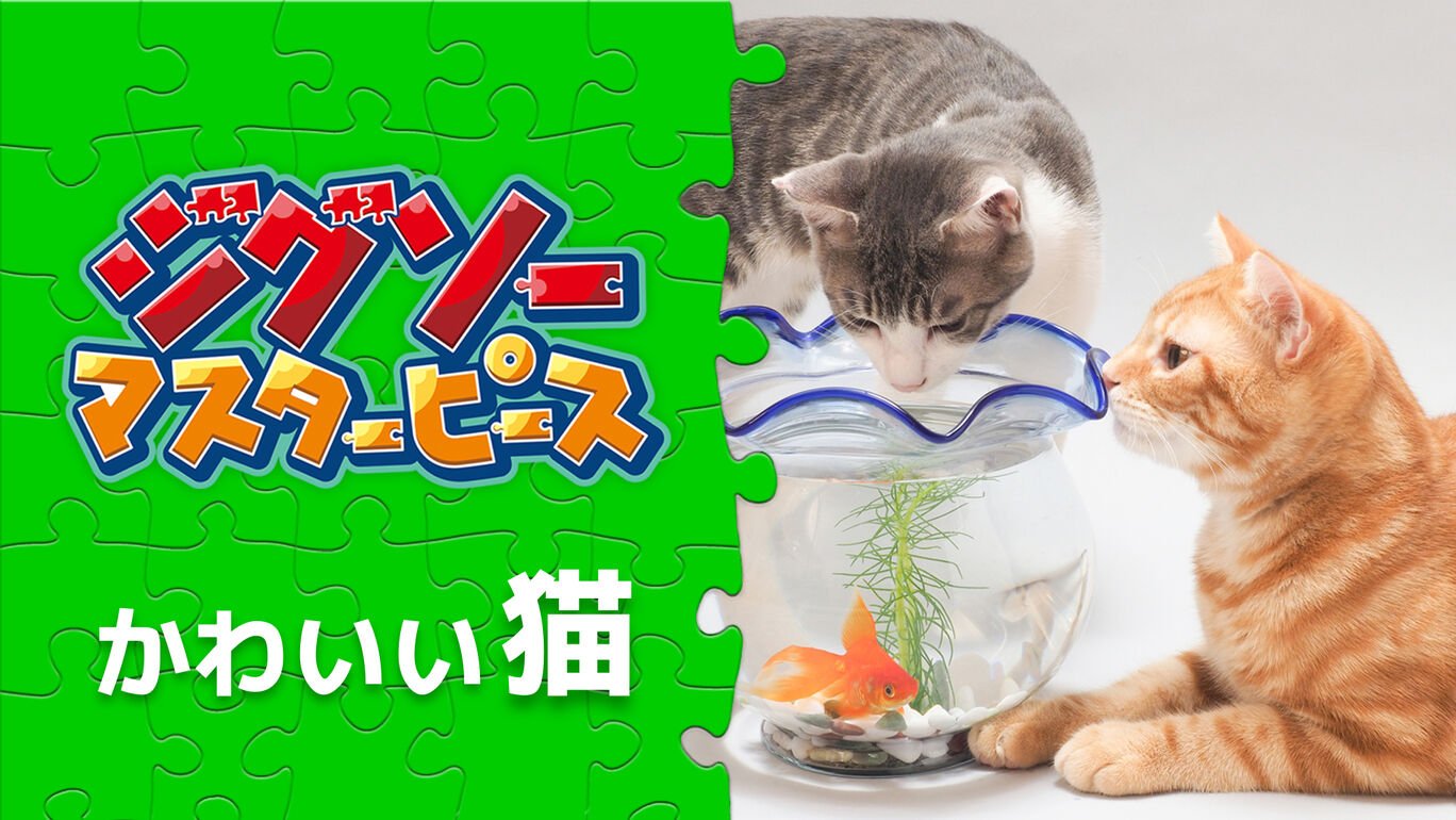 かわいい猫 My Nintendo Store マイニンテンドーストア