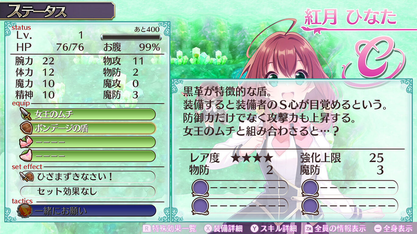 ボンデージの盾 My Nintendo Store マイニンテンドーストア