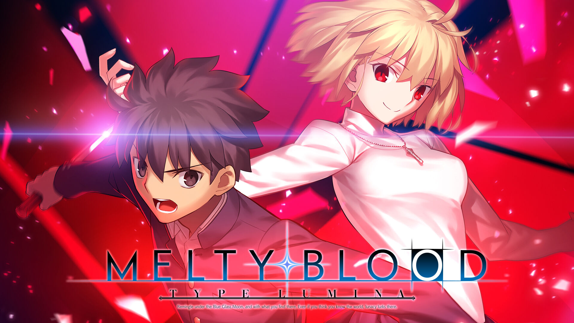 MELTY BLOOD: TYPE LUMINA メルティブラッド Switchゲームソフト/ゲーム機本体