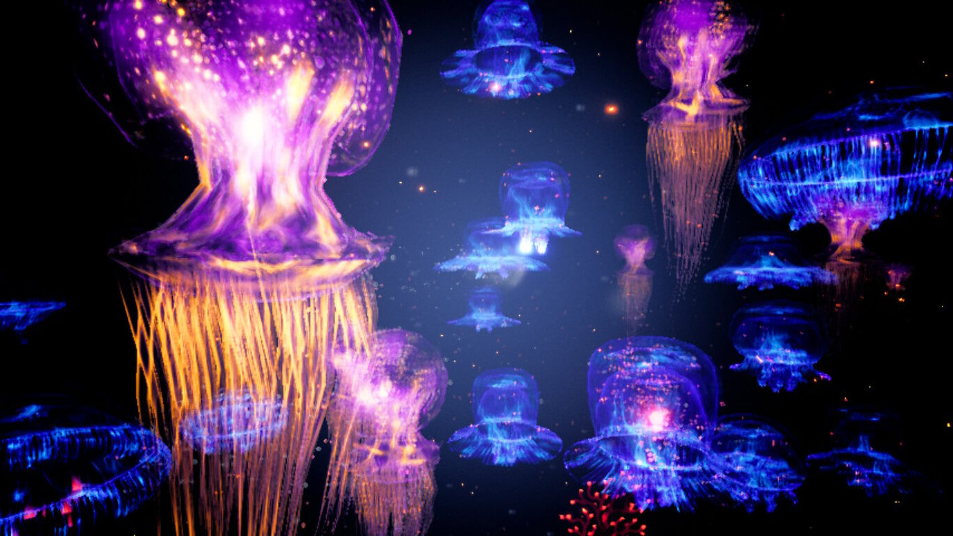 コーラル サンゴ海の探検 ダウンロード版 My Nintendo Store マイニンテンドーストア