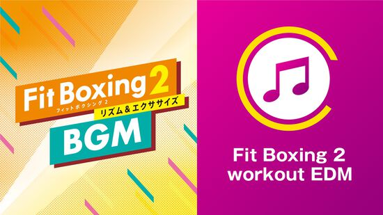 Fit Boxing 2　workout EDM