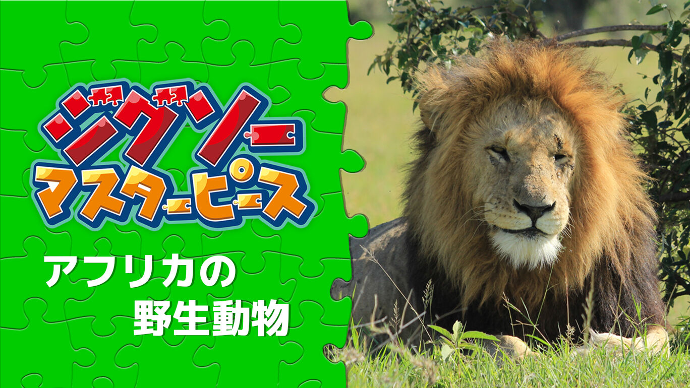 アフリカの野生動物 My Nintendo Store マイニンテンドーストア