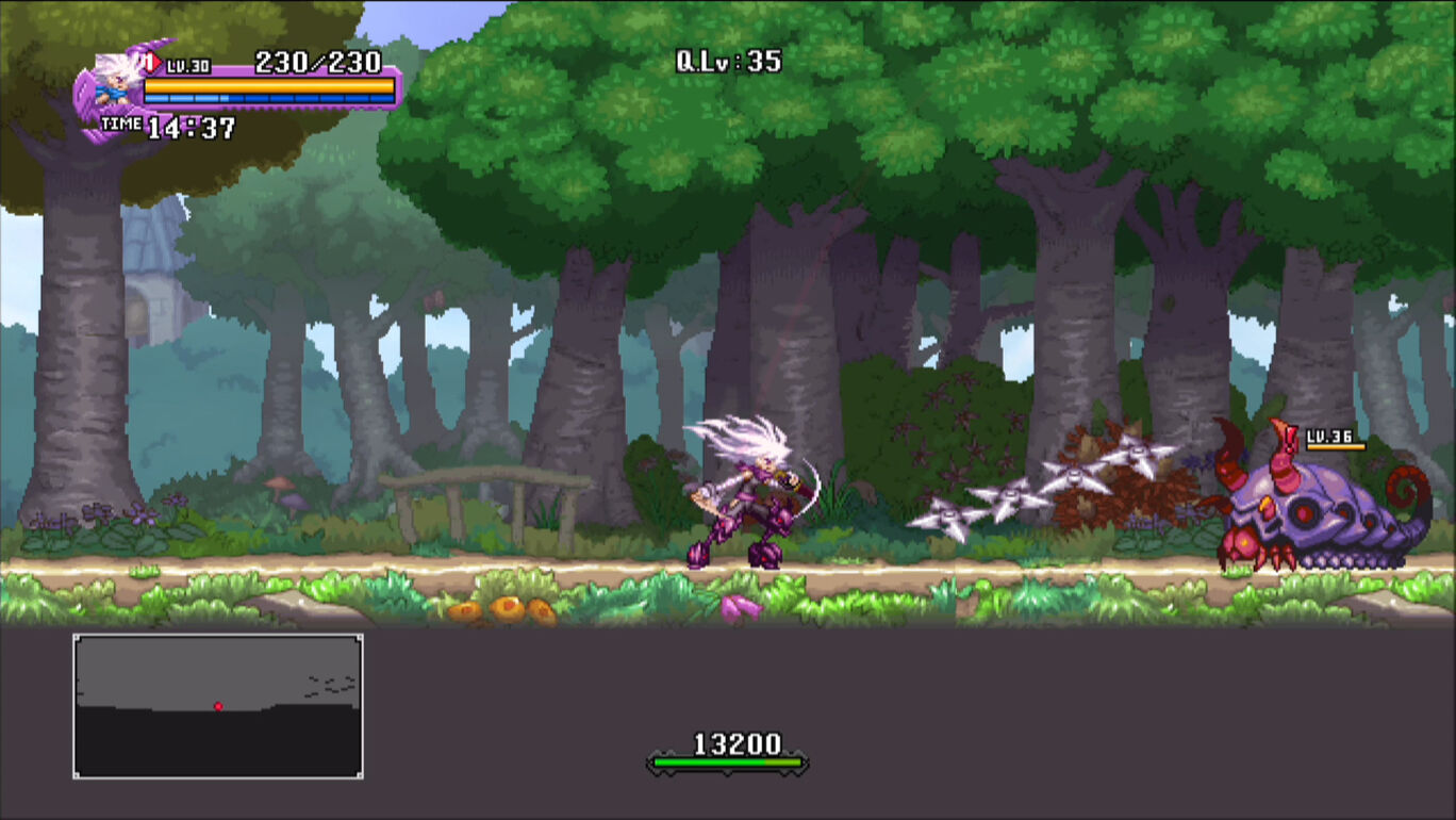 ドラゴンマークトフォーデス 盗賊 ステ振り