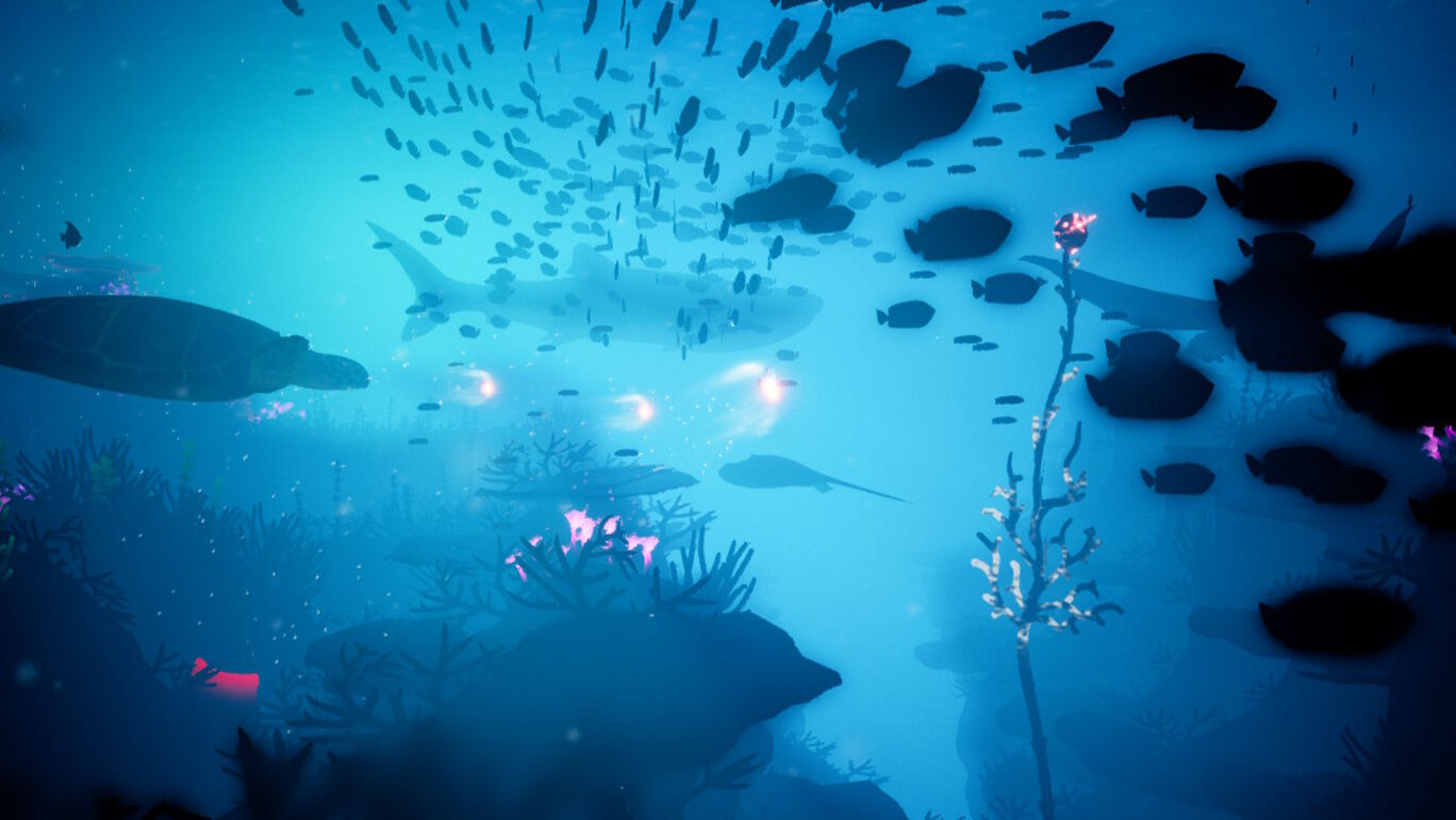 コーラル サンゴ海の探検 ダウンロード版 My Nintendo Store マイニンテンドーストア