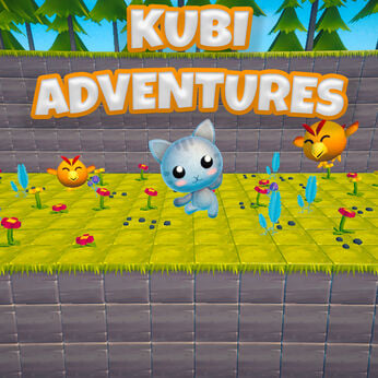 Kubi Adventures