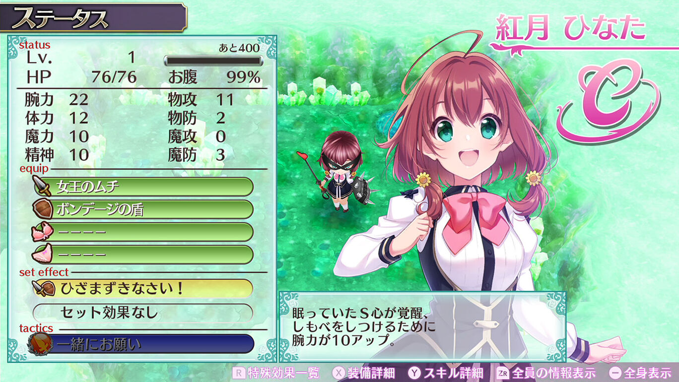 ボンデージの盾 My Nintendo Store マイニンテンドーストア