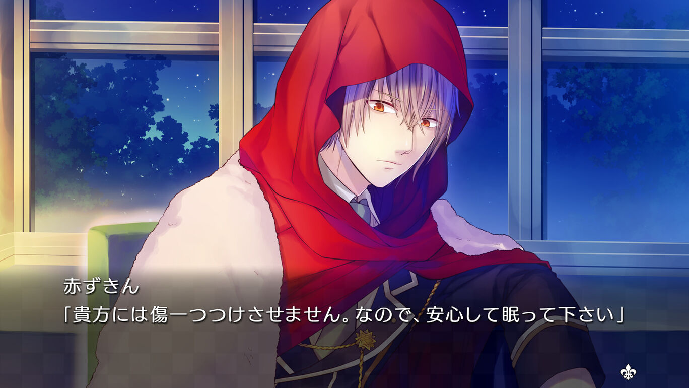 大正 対称アリス All In One 英語テキストモード追加 セット ダウンロード版 My Nintendo Store マイニンテンドーストア