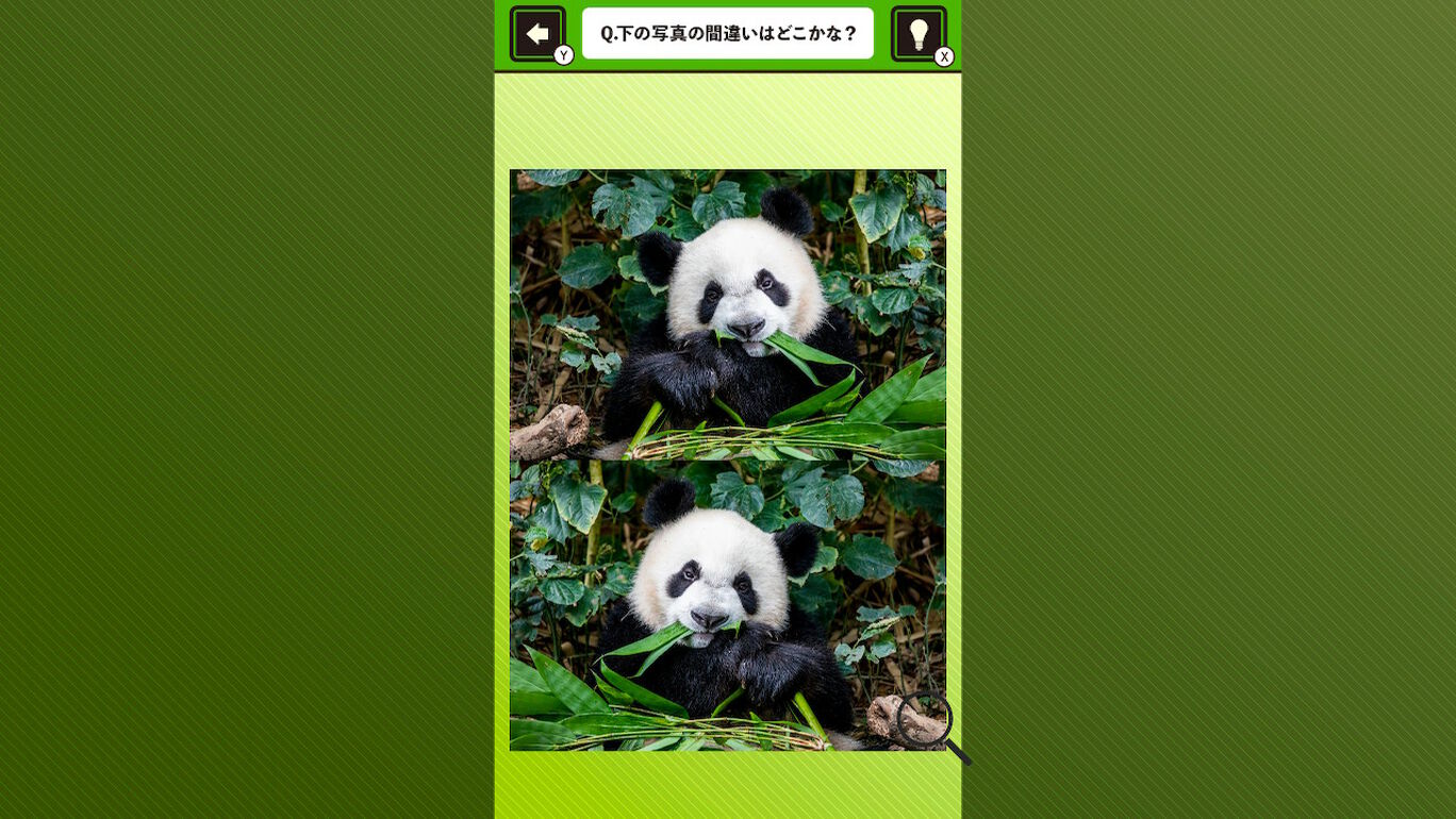 超絶かわいい！パンダ写真で間違い探しー可愛いパンダ写真で癒しの脳トレゲームー