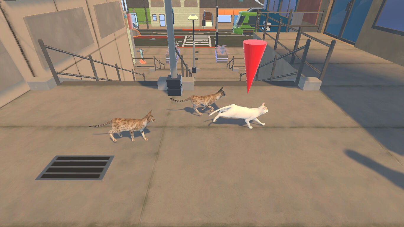 Street Cats Race