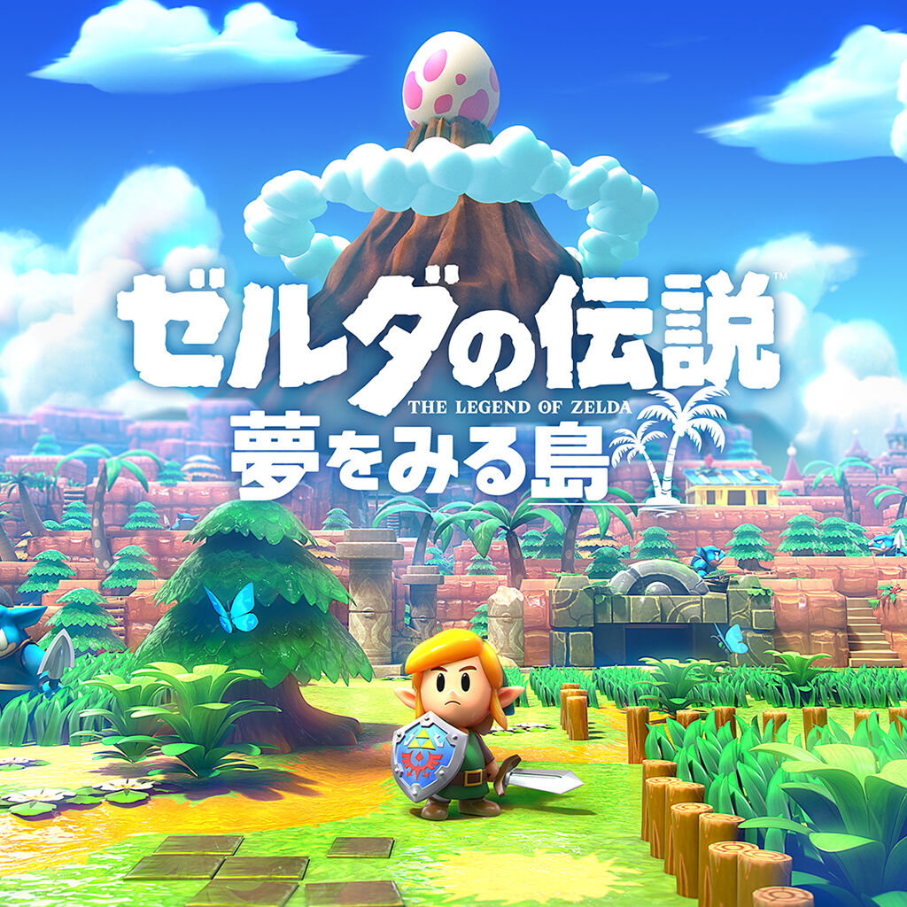 1150サイズ ゼルダの伝説 夢をみる島 Switch用ソフト アウトレットセール 本 音楽 ゲーム テレビゲーム Roe Solca Ec