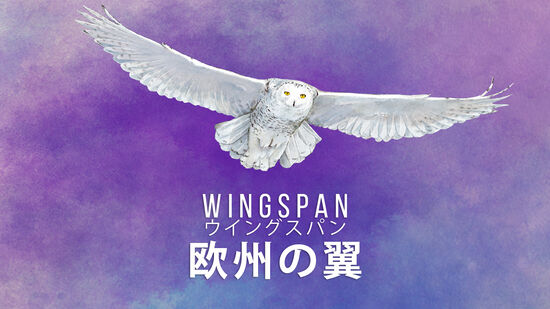 WINGSPAN (ウイングスパン)：欧州の翼