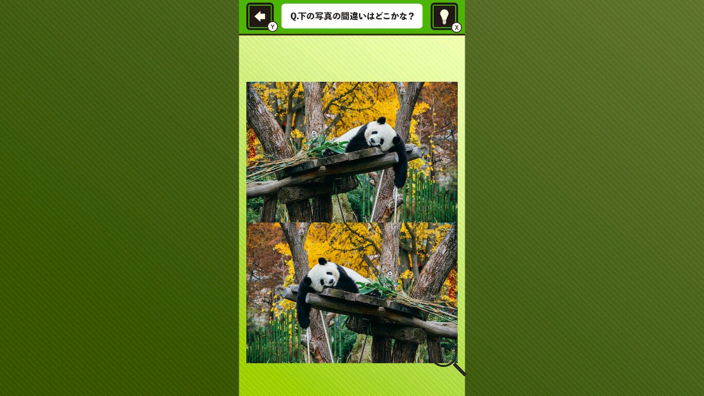 超絶かわいい！パンダ写真で間違い探しー可愛いパンダ写真で癒しの脳トレゲームー