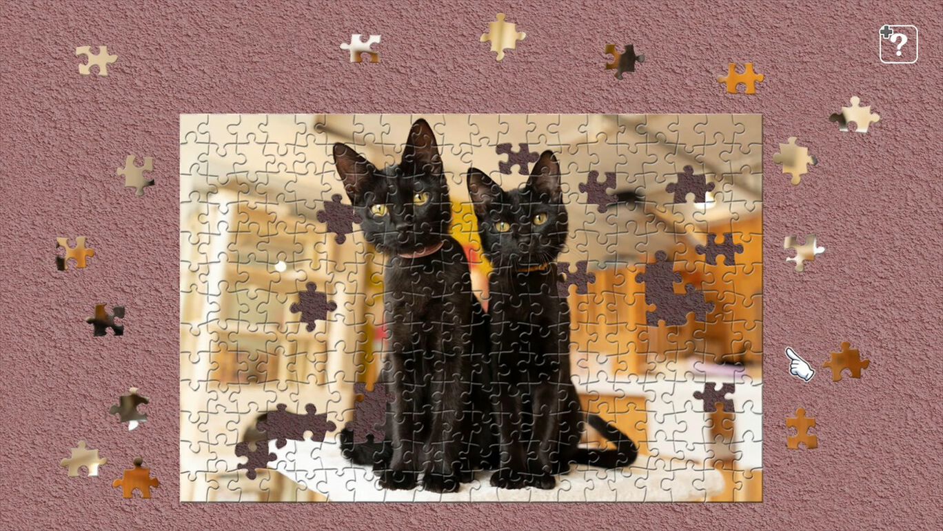 黒猫 保護猫カフェ ねこびやか編 五十嵐健太 My Nintendo Store マイニンテンドーストア