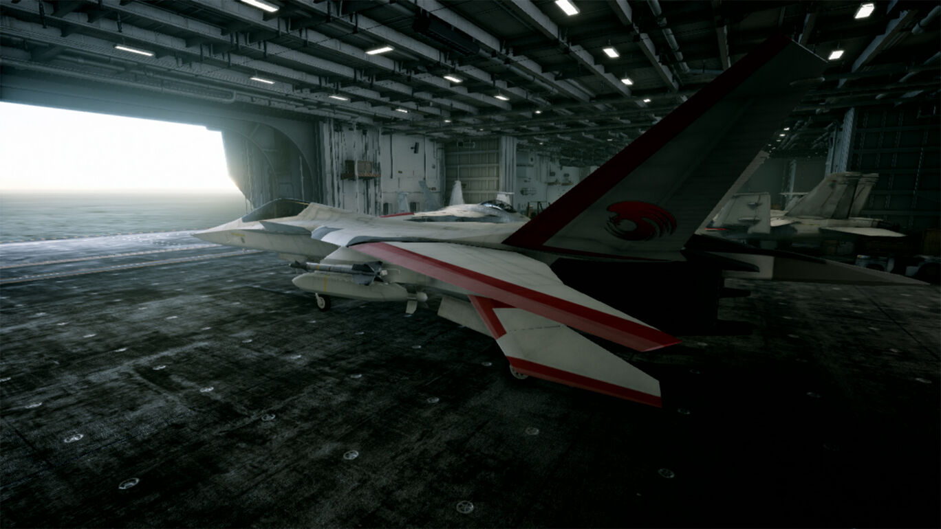 ACE COMBAT™7: SKIES UNKNOWN - XFA-27セット