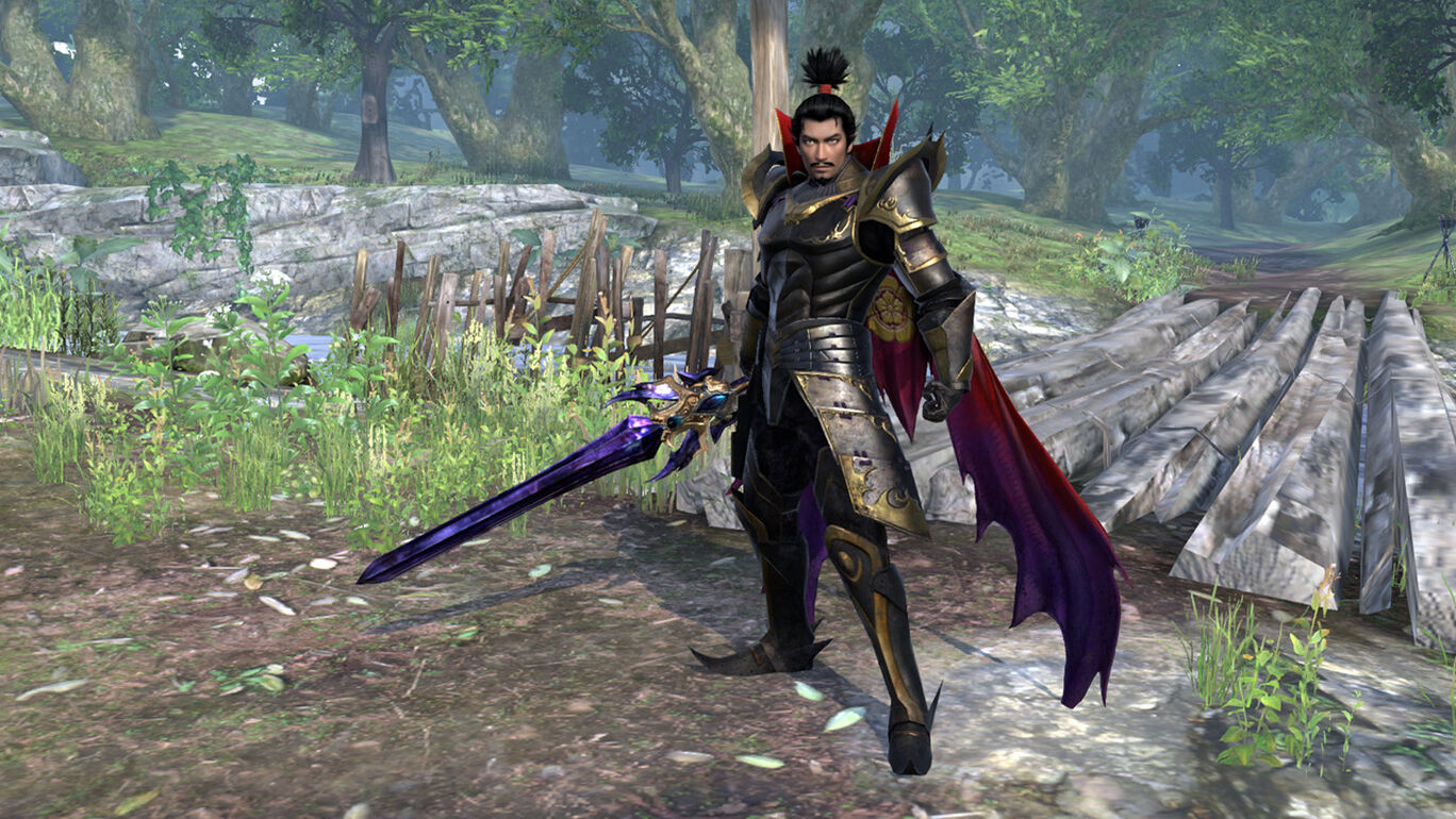 レジェンド武器戦国無双パック１ My Nintendo Store マイニンテンドーストア