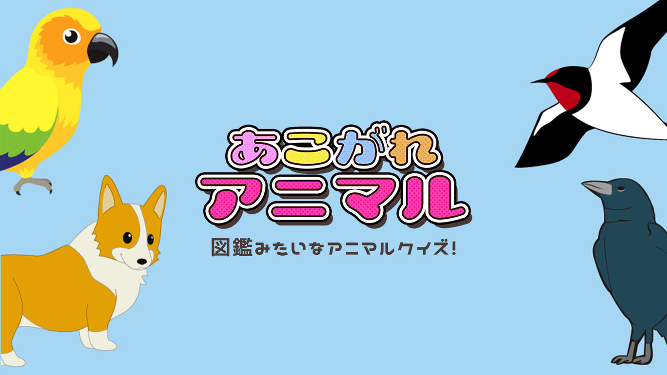 あこがれアニマルー図鑑みたいなアニマルクイズ!ー