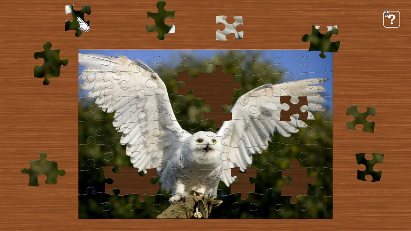 フクロウ My Nintendo Store マイニンテンドーストア