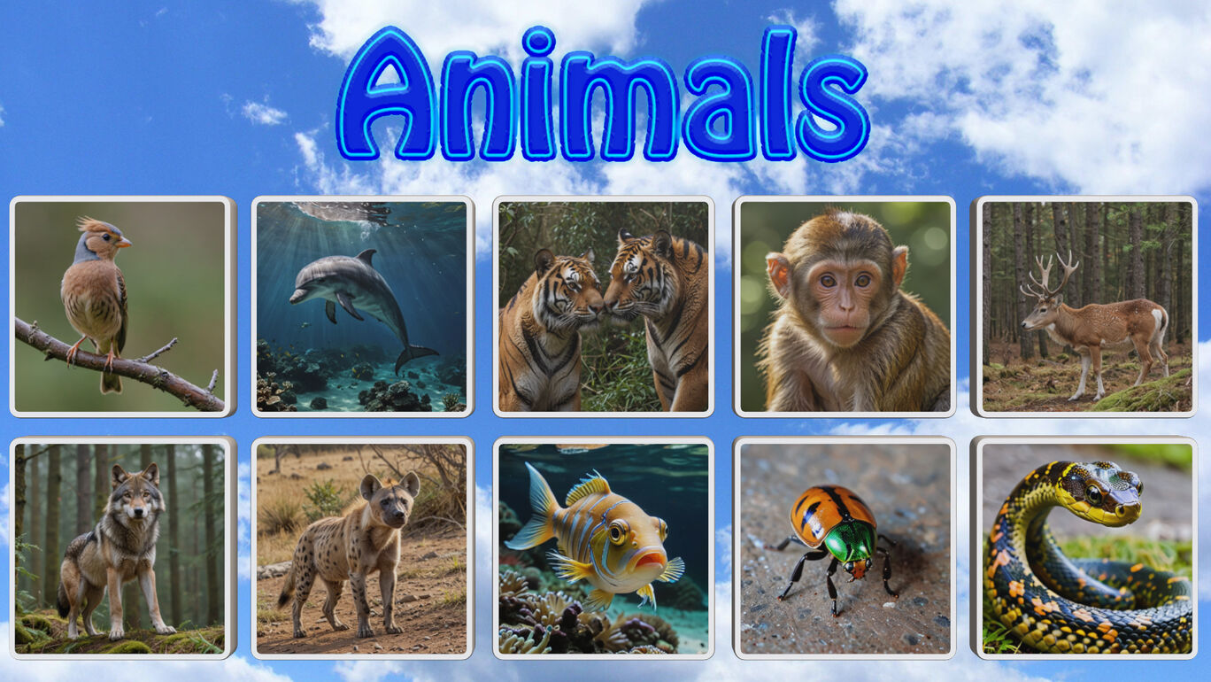 Animals
