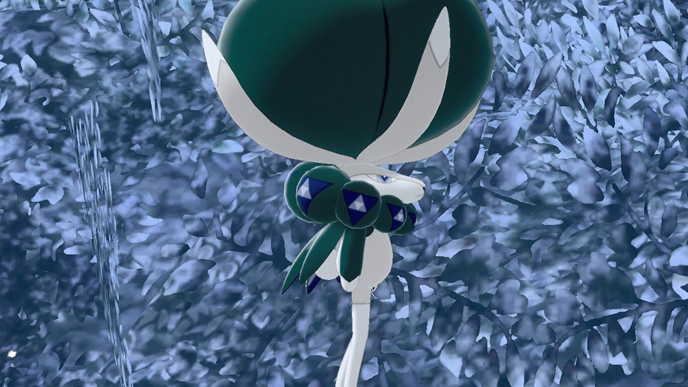 冠の雪原 My Nintendo Store マイニンテンドーストア