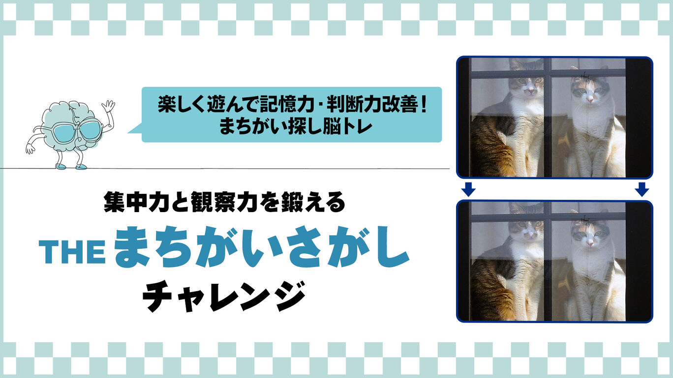 集中力と観察力を鍛える THEまちがいさがしチャレンジ ー楽しく遊んで記憶力・判断力改善!まちがい探し脳トレー