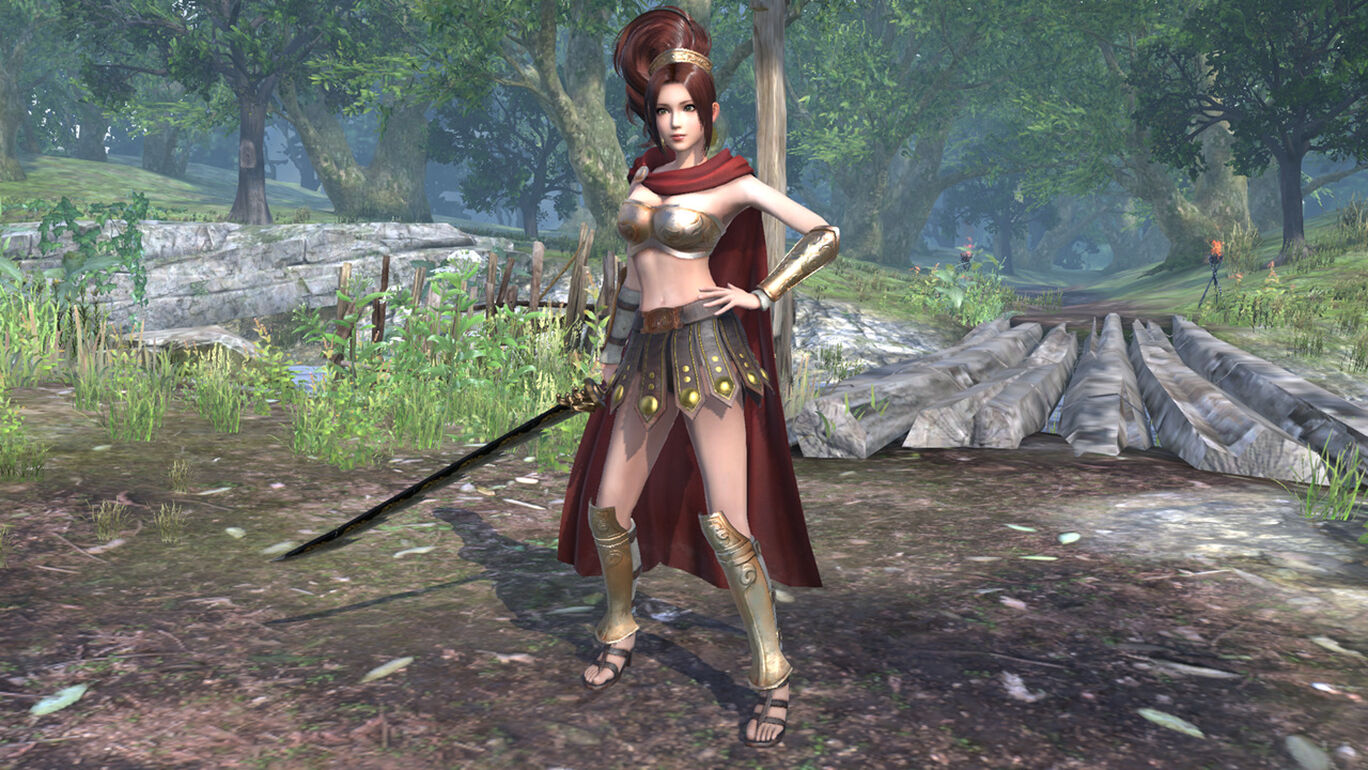 特別衣装 甲斐姫 My Nintendo Store マイニンテンドーストア