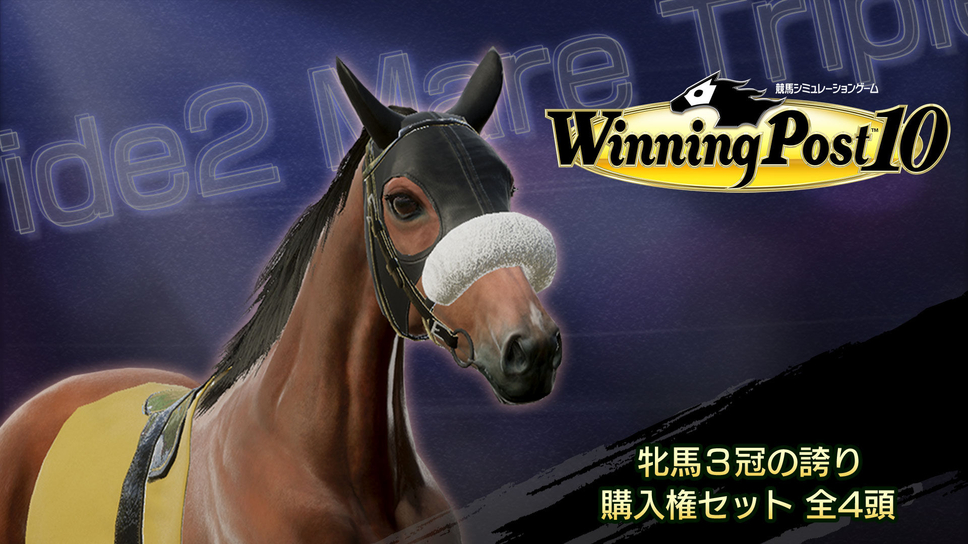 WP10 牝馬３冠の誇り 購入権セット 全４頭 | My Nintendo Store（マイ
