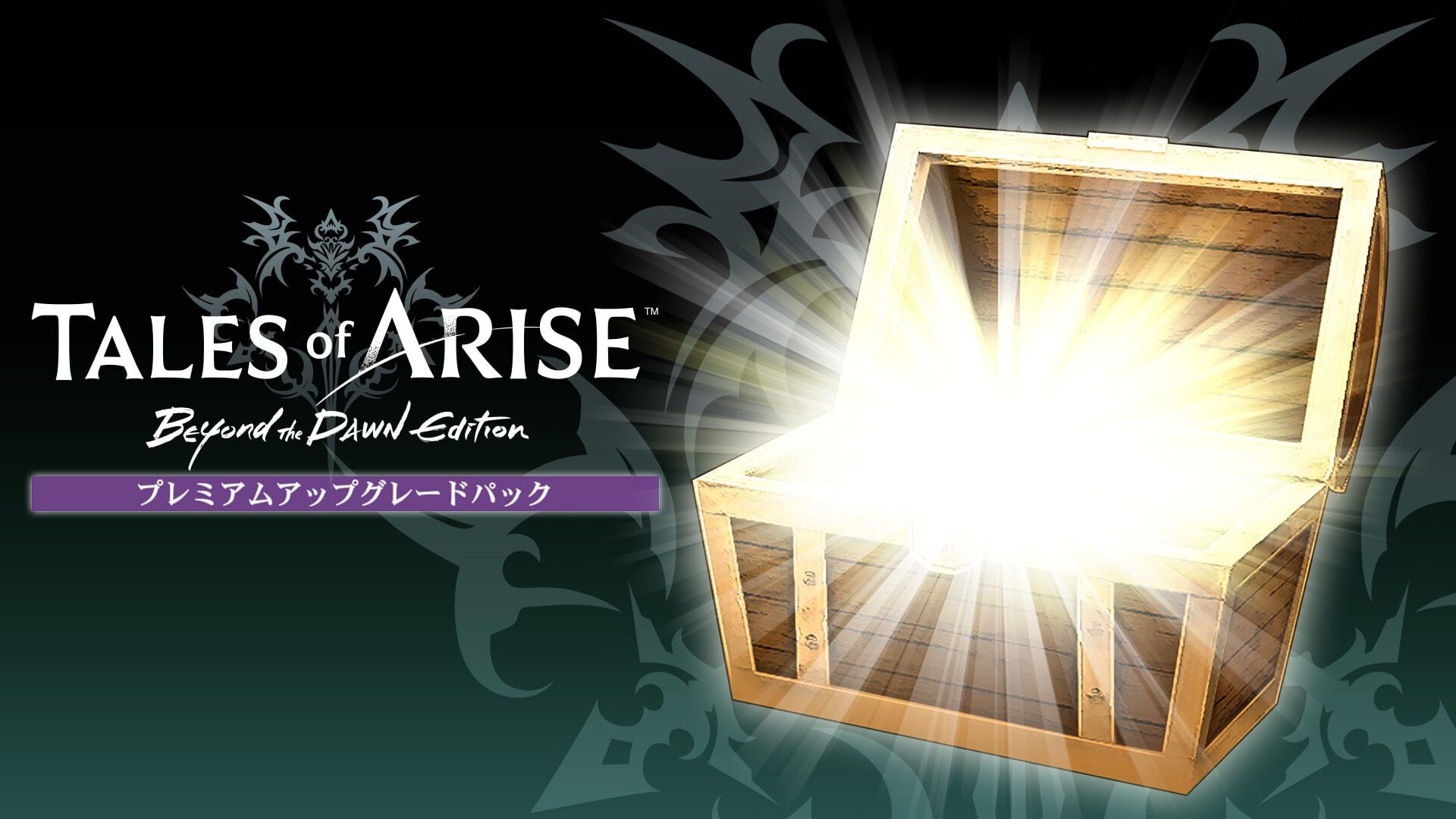 Tales of ARISE - Beyond the Dawn Premium Edition | Nintendo Store