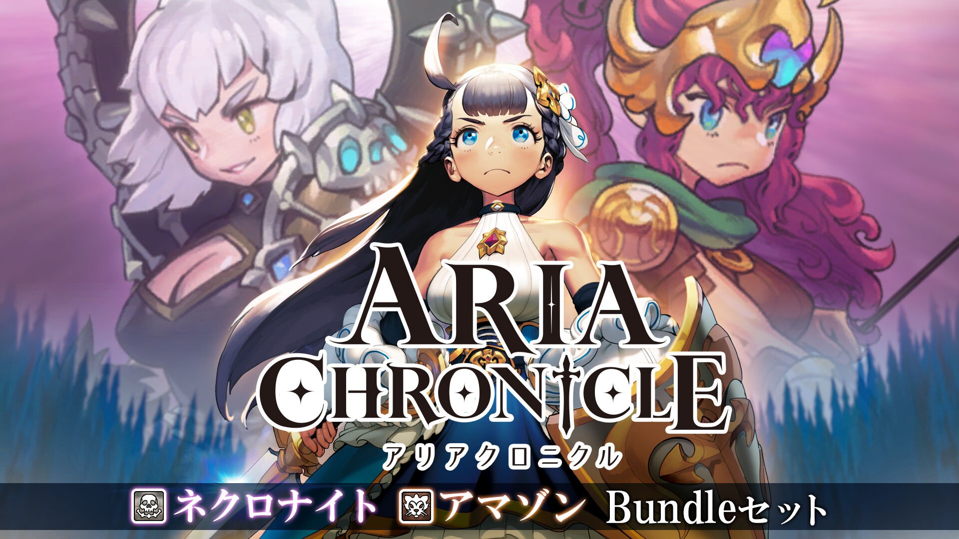 保証内容ARIA CHRONICLE - アリアクロニクル - Switch 家庭用ゲームソフト