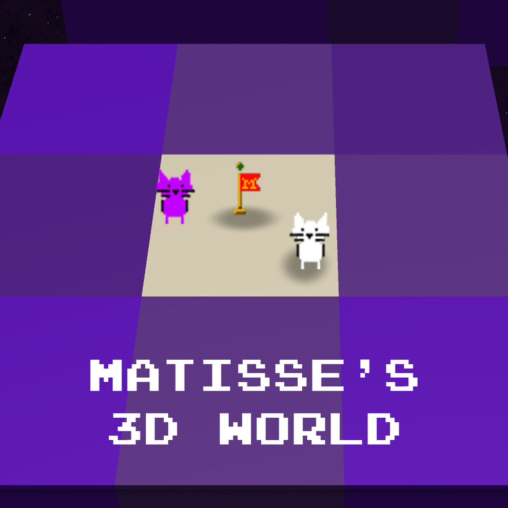 Matisse's 3D World
