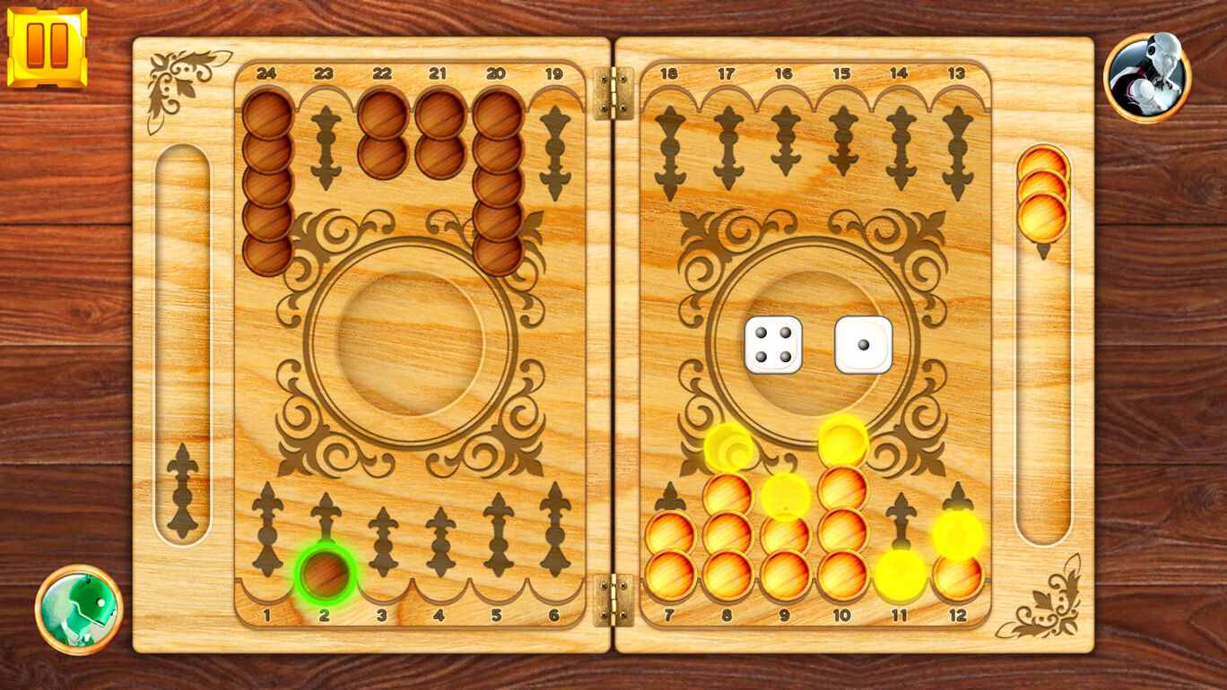 Backgammon: Board Game Puzzle