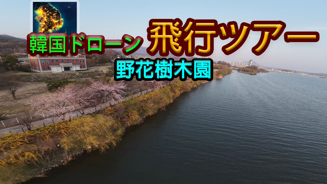 韓国ドローン飛行ツアー野花樹木園 