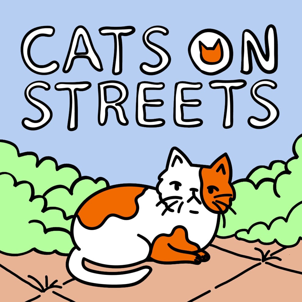 街の中の猫 : Cats on Streets